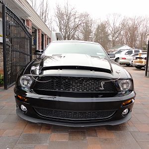 ShelbysFaceLift32012009