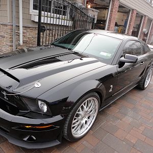 ShelbysFaceLift32012007
