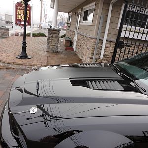 ShelbysFaceLift32012006