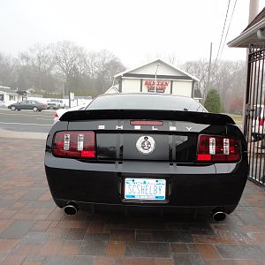 ShelbysFaceLift32012005
