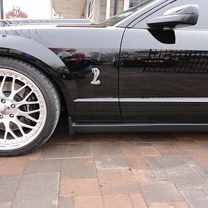 ShelbysFaceLift32012004