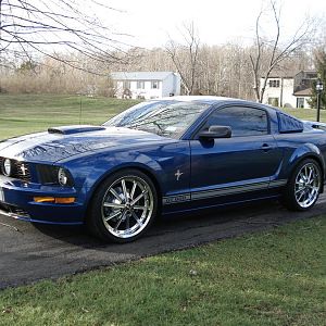 2008 GT with new Shelby Wheels