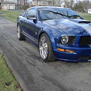 2008 GT with new Shelby Wheels