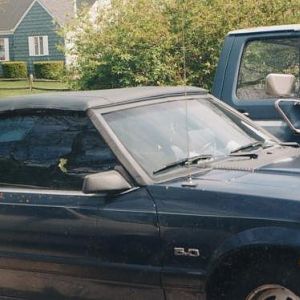 18470 1332649282654 1423698139 30932907 5194824 n