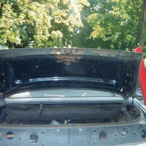 18470 1332649362656 1423698139 30932909 1795301 n