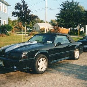 18470 1332649482659 1423698139 30932912 5799844 n