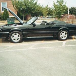 car show at babylon town hall...