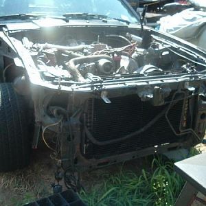 16131 1254772815791 1423698139 30731350 4945076 n