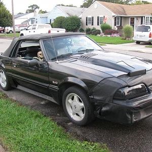 16131 1258331304751 1423698139 30744457 5791571 n