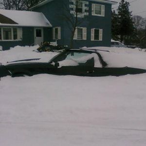 Buried in a snow drift