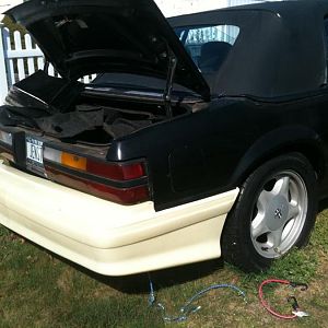 trial fit of the cobra bumper