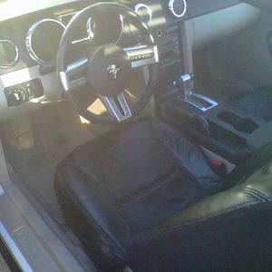 Had her detailed bumper to bumper. Looks like new :)