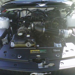 Had her detailed bumper to bumper. Looks like new :)