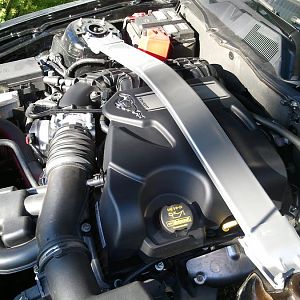 Boss 302 strut tower brace! Please excuse the nasty engine bay. Time to clean it up.

Whoever designed the waffle design intake manifold needs to di