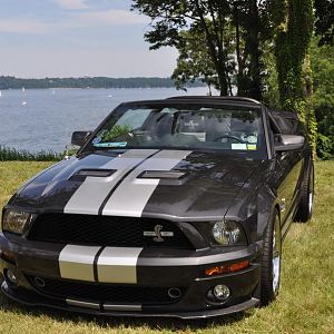 Shelby at Sands Point