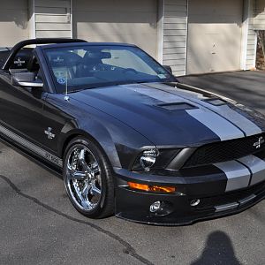 my shelby at pauls ct (7)