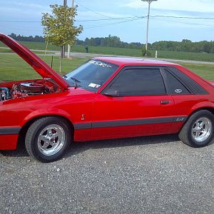 pic taking just after windows were tinted