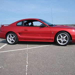 DMS 1996 SVT Cobra
