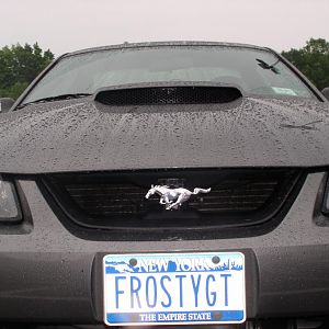 Make a Wish 6 12 10 019