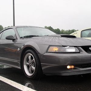 Make a Wish 6 12 10 028