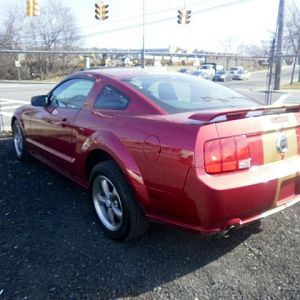 my stang with gold decals