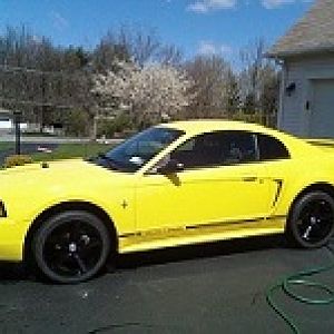 My Mustang