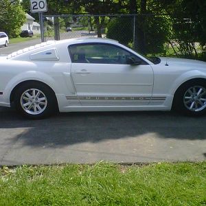 Added the Roush rockers. Finished the paint yesterday and installed them today.