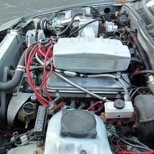 It fits... soooooo well...