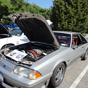 For the Love of Pets and People 2012