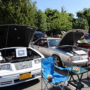 For the Love of Pets and People 2012