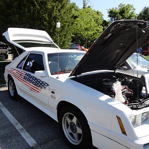 For the Love of Pets and People 2012