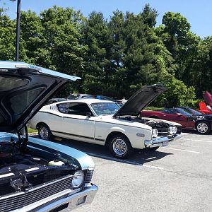 For the Love of Pets and People 2012