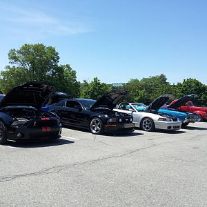 For the Love of Pets and People 2012