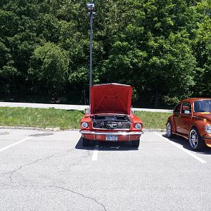 For the Love of Pets and People 2012