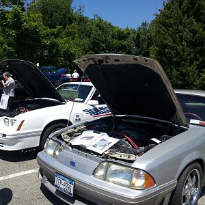 For the Love of Pets and People 2012