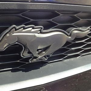 Plasti-dipped the pony emblem. Looks good!