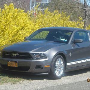 2012 Sterling Grey V6 Pony Package 
License: GRYMATTR