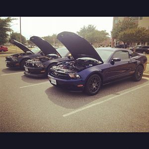 Fredericksburg, VA "Stangs and Fangs Mustang Club" Meet.