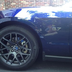 AMR Rims W/ Matching Badge
