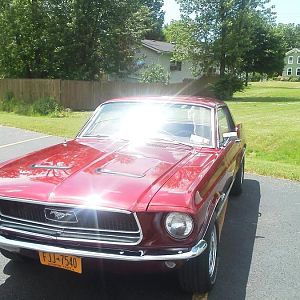 534270 10151013113006458 325726009 n