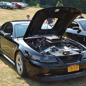 Bear Mountain July11 2012 015