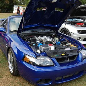 Bear Mountain July11 2012 034