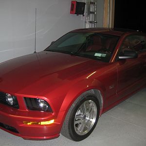 My Mustang