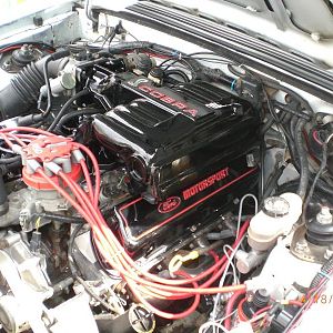 Gloss Black and Candy Red