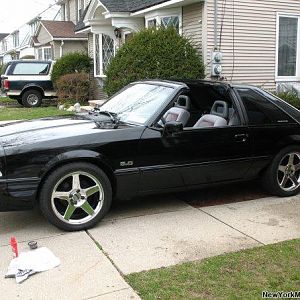 n661795991 177073 8800