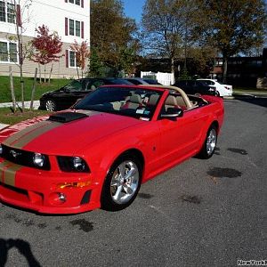 My Roush