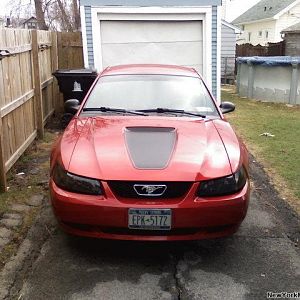 Here she is with the lights I put on about a month ago, I had to buy a new pair last week because these were just too dark.