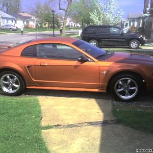 Not bad for a sixxer huh?