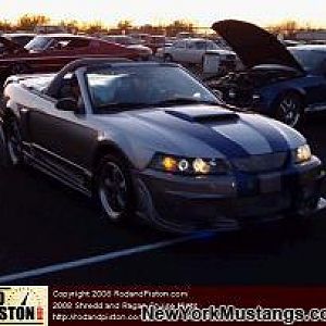 shread and reagan crusie night