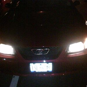 First day i got her! Pic 1